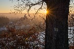Golden evening light 2