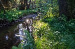 Relaxing ambience on the river bank